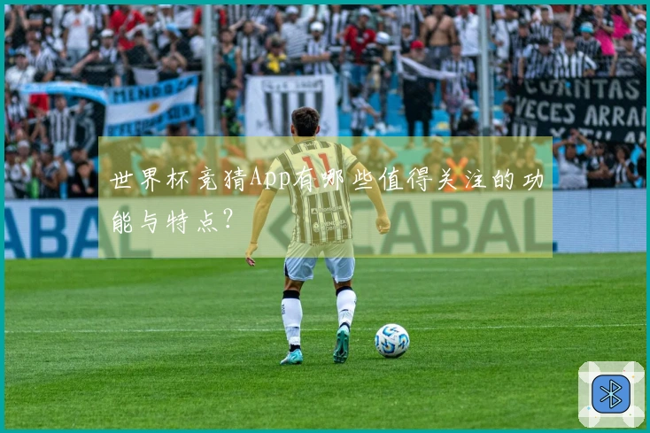 世界杯竞猜App有哪些值得关注的功能与特点？