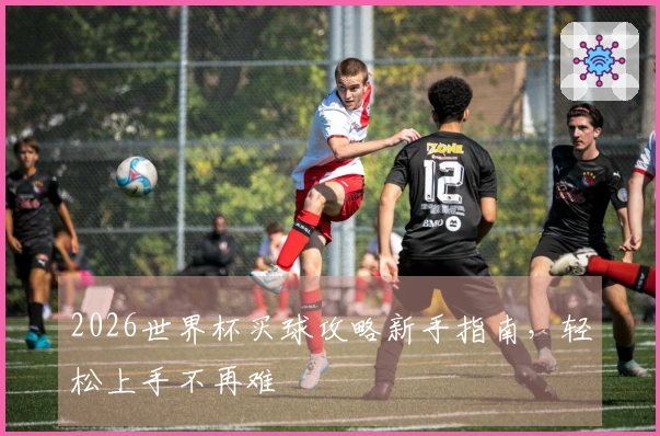 2026世界杯买球攻略新手指南，轻松上手不再难
