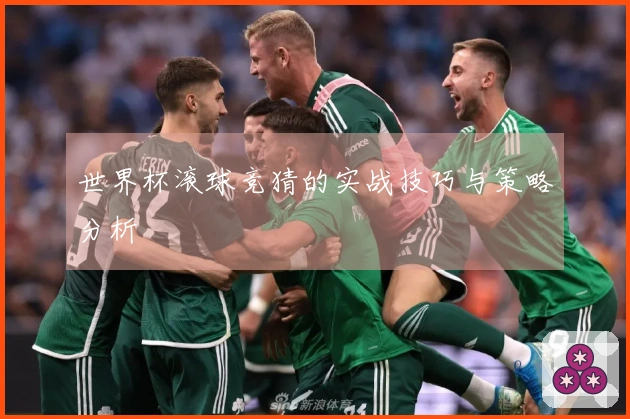 世界杯滚球竞猜的实战技巧与策略分析