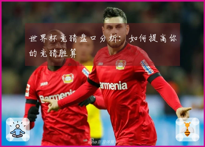 世界杯竞猜盘口分析：如何提高你的竞猜胜算