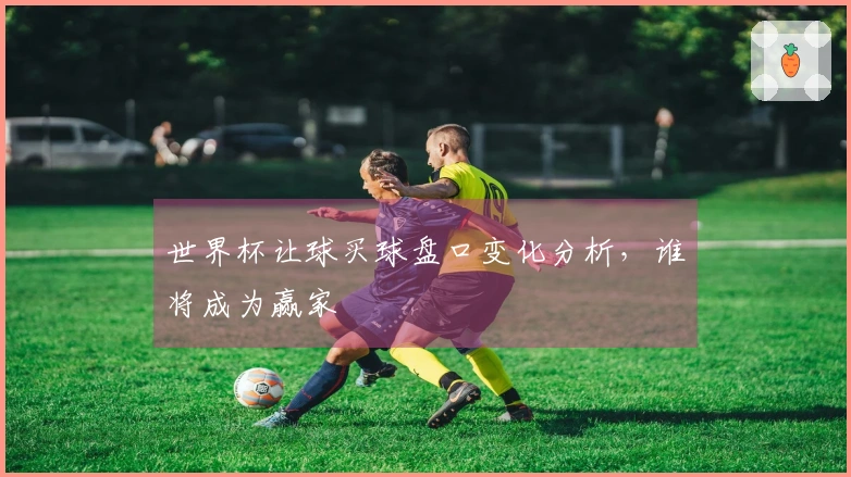 世界杯让球买球盘口变化分析，谁将成为赢家