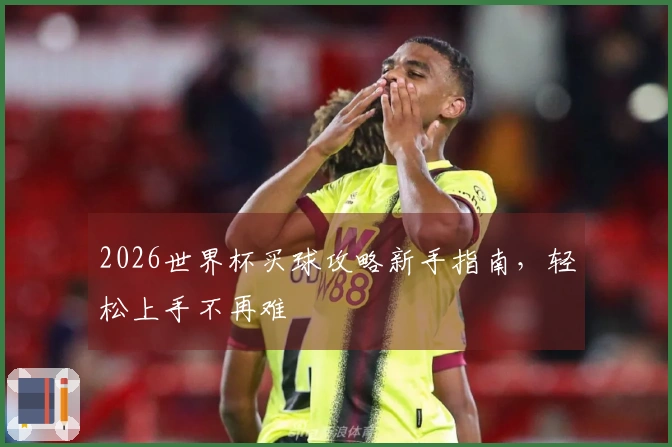 2026世界杯买球攻略新手指南，轻松上手不再难