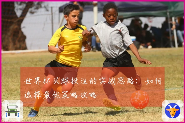 世界杯买球投注的实战思路：如何选择最优策略攻略