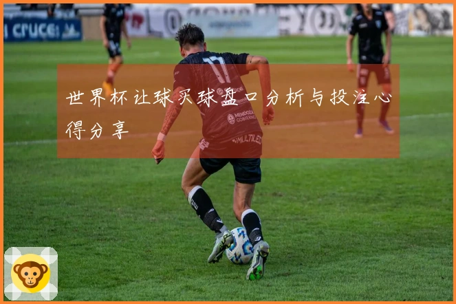世界杯让球买球盘口分析与投注心得分享