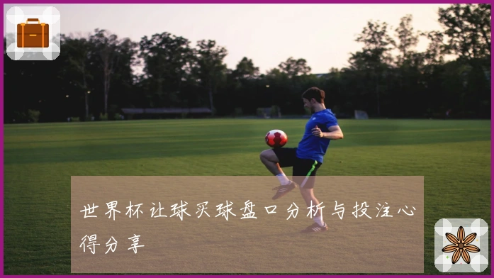 世界杯让球买球盘口分析与投注心得分享