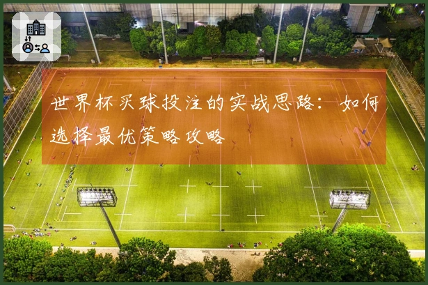 世界杯买球投注的实战思路：如何选择最优策略攻略